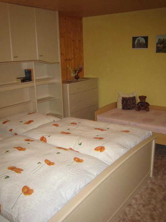 Apartment Schlafwandler Steinigtwolmsdorf Zimmer foto